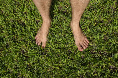 Low section of man wearing shoes on grass