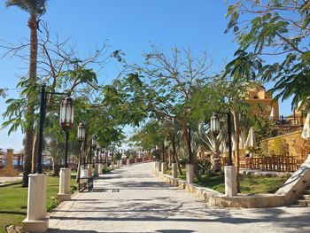 Empty walkway along trees