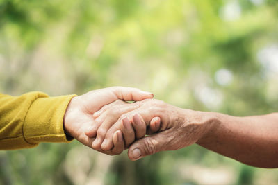 Cropped image of family holding hands in park