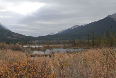 Scenic view of lake and mountains against sky