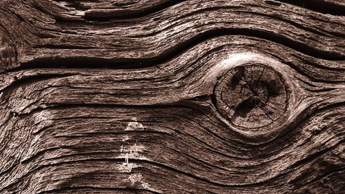 Full frame shot of textured surface