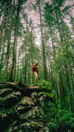 Man standing on rock in forest