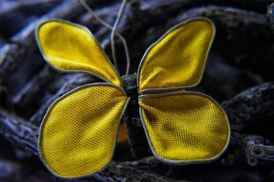 Close-up of yellow object