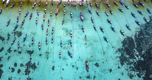 High angle view of people swimming in pool