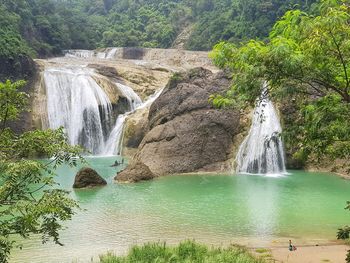 Scenic view of waterfall in forest