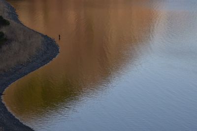 Reflection of trees in water