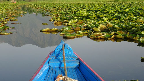 Reflection of trees in lake