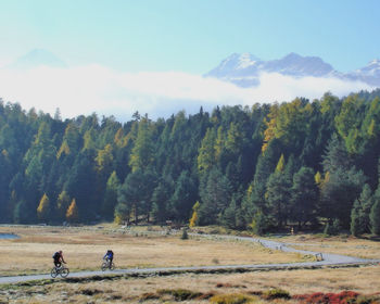 Scenic view of mountains