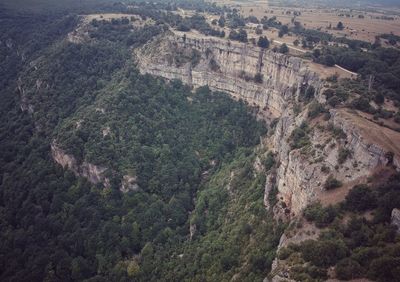 High angle view of trees on landscape