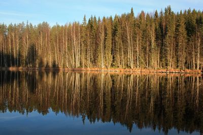 Scenic view of calm lake with trees reflection