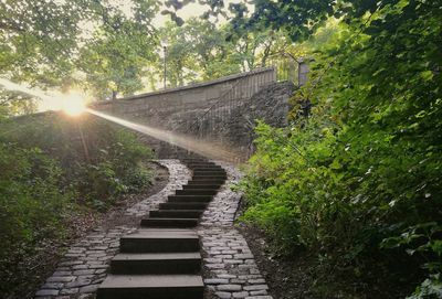 Walkway amidst trees against sky