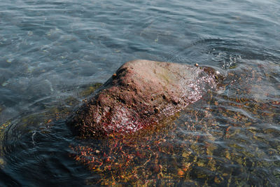 High angle view of rock in sea