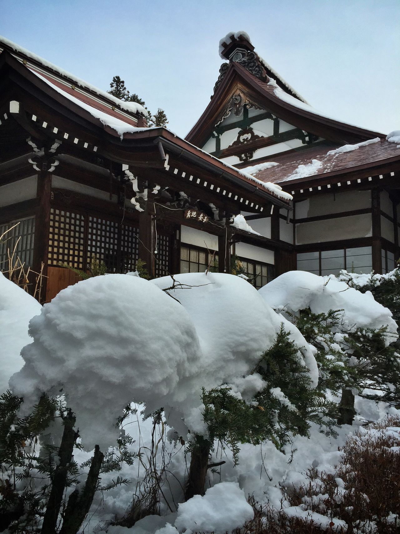 洞雲院