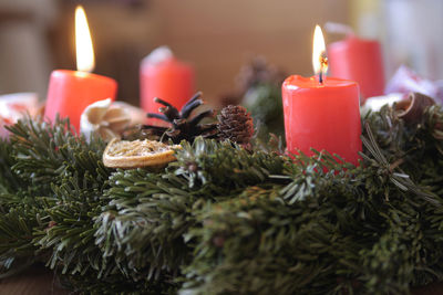 Close-up of christmas decorations