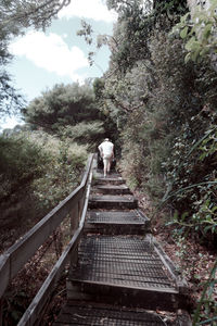 Steps leading to staircase