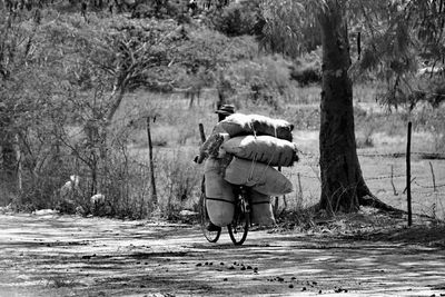 Rear view of man cycling on tree