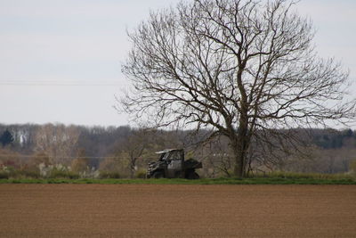 Bare tree in the field and farm buggy