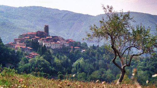 Houses on hill against sky