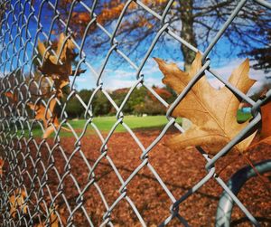 Close-up of chainlink fence against sky