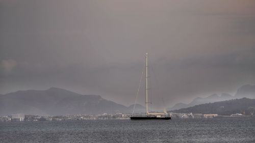 Sailboat sailing on sea against sky