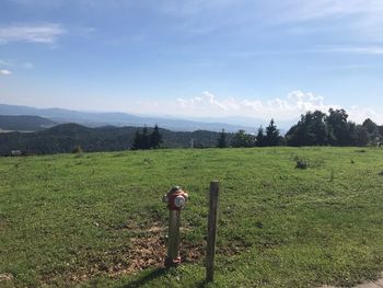 Scenic view of field against sky