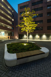 View of illuminated street and buildings at night