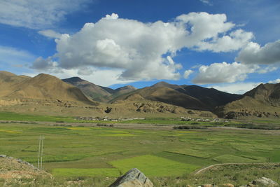 Scenic view of field against sky