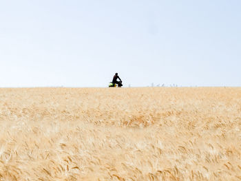 Man riding bicycle on wheat field against clear sky