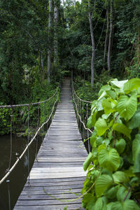 Rope bridge cross the river into the jungle at khao yai national park, thailand