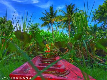 Plants on field against sky