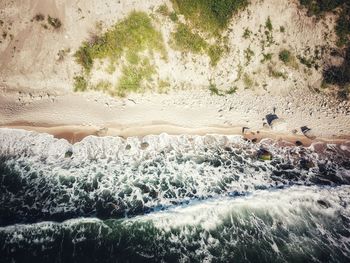 View of bird on beach