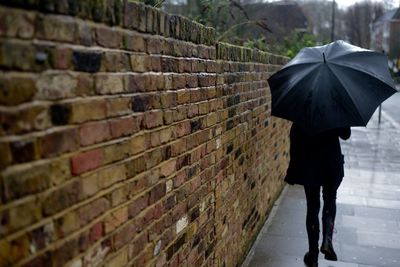 Close-up of umbrella on rainy day