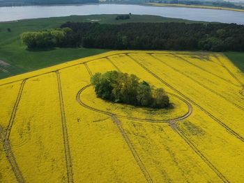 High angle view of yellow road amidst field