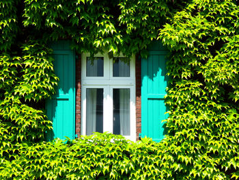 Low angle view of building