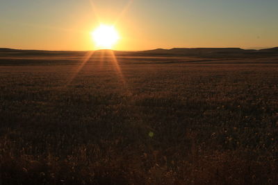 Scenic view of field against clear sky