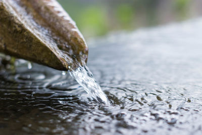 Close-up of water splashing