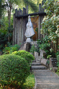 View of buddha statue in garden