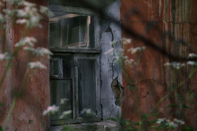 Close-up of abandoned window