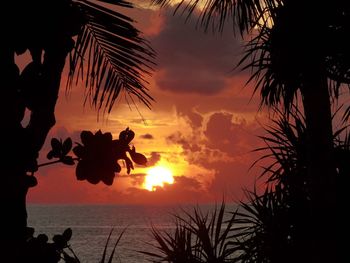 Silhouette of palm trees at sunset