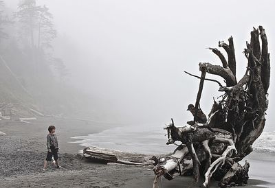 Full length of boy standing by driftwood at beach during foggy weather