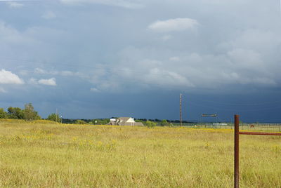 Scenic view of field against sky