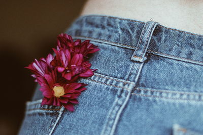 Close-up of red chamomile flower