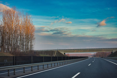 Road by trees against sky