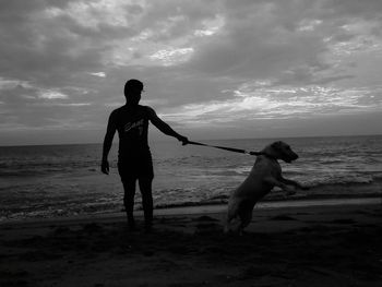 Full length of dog on beach against sky