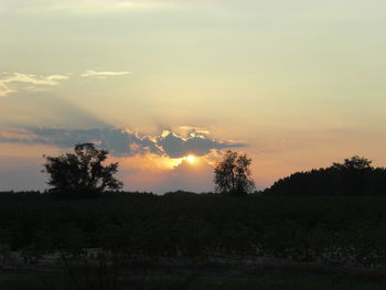 Scenic view of landscape at sunset