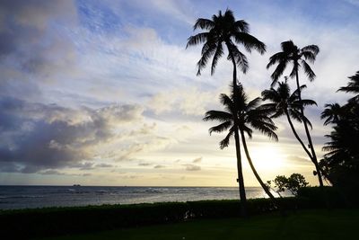 Palm trees on beach against sky during sunset