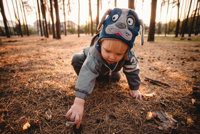 Baby boy exploring pine forest during autumn