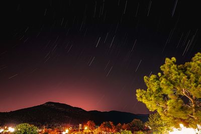 Low angle view of trees against sky at night