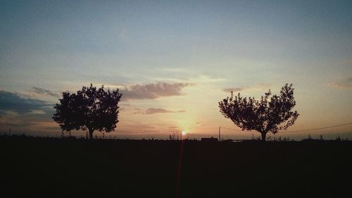Silhouette trees on landscape at sunset