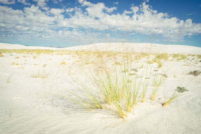 Scenic view of land against sky